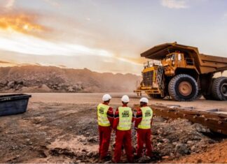 Central African Republic Halts Operations of Chinese Mining Company