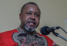 Malawi VP Confirmed Dead in Forest Plane Crash