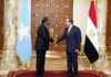 Military Alliance Between Somalia and Egypt Sparks Tensions in the Horn of Africa