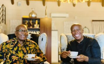 South African Opposition in Turmoil as Malema’s Deputy Defects