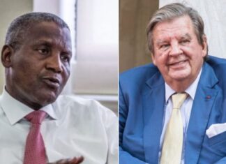 South African Billionaire Surpasses Dangote as Africa’s Richest Person