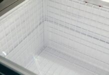 “Four Children Die After Being Trapped in Freezer in Namibia”