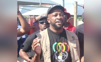 Eswatini opposition leader Mlungisi Makhanya poisoned in South Africa – party