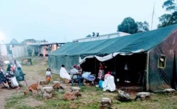 APRÈS LES FRAPPES DES AVIATIONS FARDC SUR RUNYONYI LA POPULATIONS FUIENT EN UGANDA