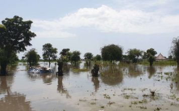 Over a Million People Affected by Severe Flooding in South Sudan
