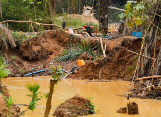 ‘We Are Slowly Poisoning Ourselves’: Ghana’s Gold Rush Fuels Environmental Catastrophe