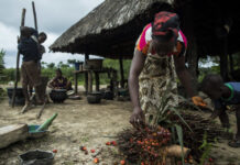 Les exploits de Félix Tshilombo : voici ce que cela donne lorsque un peuple est désespéré.