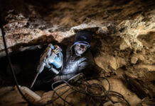 South African Police Remove 540 Illegal Miners from Abandoned Shaft