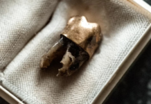 Patrice Lumumba’s Gold-Capped Tooth Safe After Kinshasa Mausoleum Vandalism, Confirms Daughter