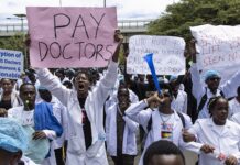 Kenyan Medical Interns Grapple with Tragedy and Struggle for Better Working Conditions