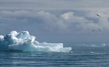 Global Environmental Efforts Falter Amid Mounting Crises