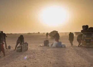 Austrian Woman Kidnapped in Niger’s Agadez Region