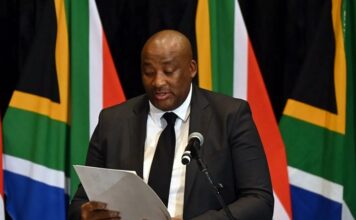 South Africa’s Sports Minister Urges Proteas to Boycott Match Against Afghanistan