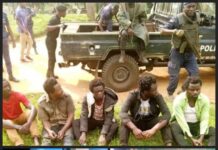 La liberté est un droit garanti par la Constitution en RDC