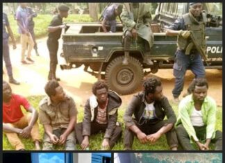 La liberté est un droit garanti par la Constitution en RDC