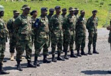 Malawi to Withdraw Troops from DR Congo Peacekeeping Mission
