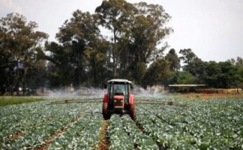 DA Challenges Controversial Land Seizure Law as US Freezes Aid to South Africa