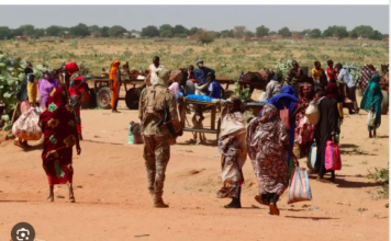 Activists Report Execution-Style Killings of Villagers in Sudan by RSF Forces