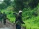 M23 Rebels Advance in Eastern Congo Despite Ceasefire Call