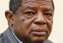 Zimbabwe’s Political Tensions Rise Amid Leadership Debate and Military Convoy Concerns