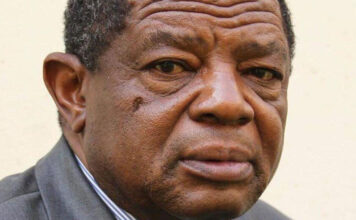 Zimbabwe’s Political Tensions Rise Amid Leadership Debate and Military Convoy Concerns