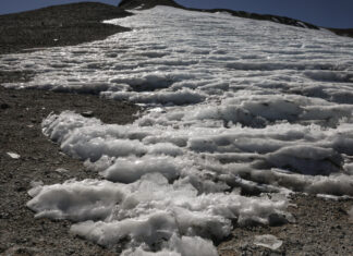 UN Warns of Alarming Glacier Loss as Climate Change Accelerates