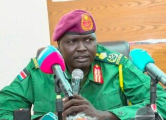 South Sudan Opposition Decries Arrest of General as ‘Grave Violation’ of Peace Deal