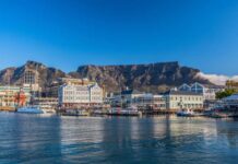Keeping the Peace Between People and Wildlife at Cape Town’s V&A Waterfront