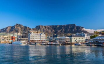 Keeping the Peace Between People and Wildlife at Cape Town’s V&A Waterfront