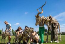 Cardboard Creatures Flee Congo in Powerful Climate Performance