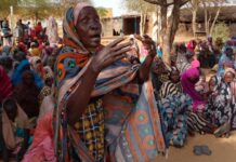 Sudan: Brutal Assaults on Displacement Camps in Darfur Leave Over 100 Dead