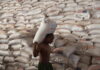 Millions in Ethiopia at Risk as Food Aid Cuts Loom, Warns WFP