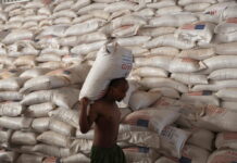 Millions in Ethiopia at Risk as Food Aid Cuts Loom, Warns WFP