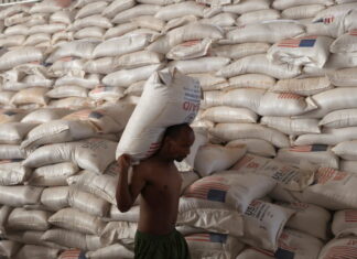 Millions in Ethiopia at Risk as Food Aid Cuts Loom, Warns WFP