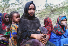 Funding Cuts Put 14 Million Children at Risk of Malnutrition, UNICEF Warns