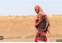 Global Displacement Reaches Record High as Funding Falls Short