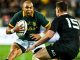 Rugby World Pays Tribute as Cornal Hendricks Dies at 37