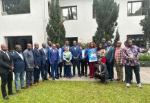 RDC – La structure politique VISION FAYULU 2028