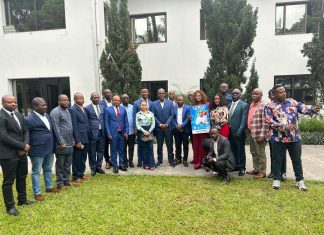 RDC – La structure politique VISION FAYULU 2028