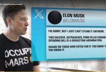 Three ways Musk could take down Trump – after calling his bill an ‘abomination