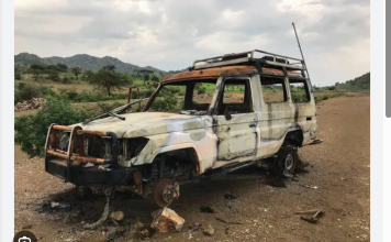 Ethiopian Army Implicated in Execution of MSF Aid Workers in Tigray, Report Finds