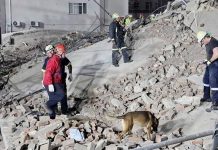 South Africa: George Building Collapse That Killed 34 Was “Entirely Preventable” – Government Report