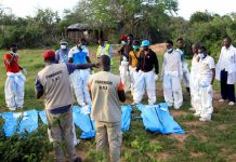 Nine More Bodies Exhumed in Kenya’s Starvation Cult Case