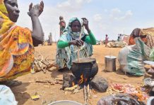 Starvation Crisis in Sudan’s El-Fasher as Aid Blocked