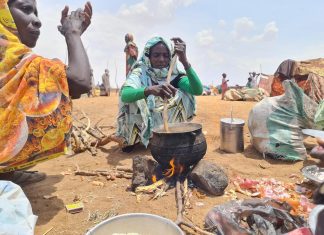 Starvation Crisis in Sudan’s El-Fasher as Aid Blocked