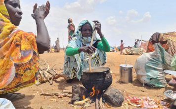 Starvation Crisis in Sudan’s El-Fasher as Aid Blocked
