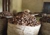 Nigeria Bans Raw Shea Nut Exports to Boost Local Processing