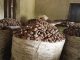 Nigeria Bans Raw Shea Nut Exports to Boost Local Processing