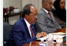 Somali police arrest TikTokers over video mocking president