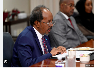 Somali police arrest TikTokers over video mocking president